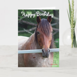 The Old Mare Birthday Card