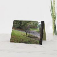 The Old Park Bench