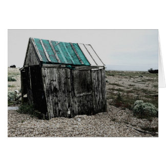 The Old Shed