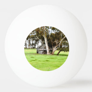 The Old Wooden Shack Ping Pong Ball