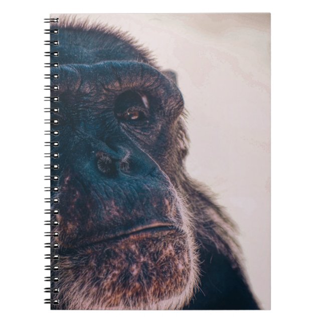 THE OLDEST CHIMPANZEE NOTEBOOK (Front)