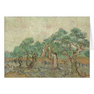 The Olive Orchard
