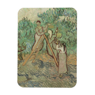 The Olive Orchard Magnet