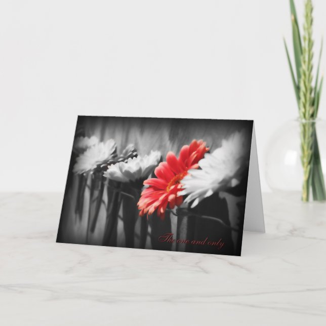 The one and only Greeting Card (Front)