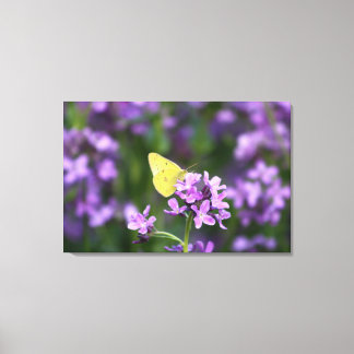 The One That Stands Out Butterfly Photography Art Canvas Print
