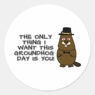 The only thing I want this Groundhog Day is you! Classic Round Sticker