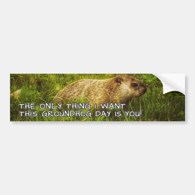 The only thing I want this Groundhog Day sticker (Front)