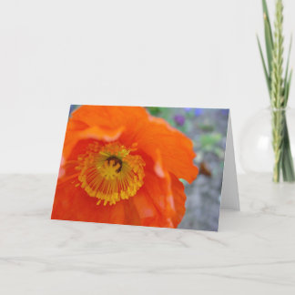 The Orange Flower Card