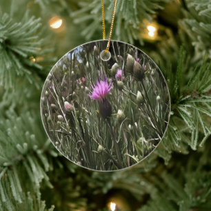 The Order of the Thistle Ceramic Tree Decoration