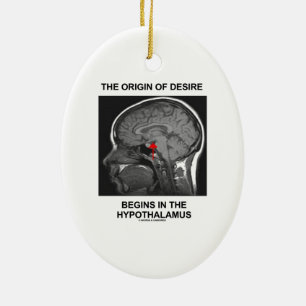The Origin Of Desire Begins In the Hypothalamus Ceramic Tree Decoration