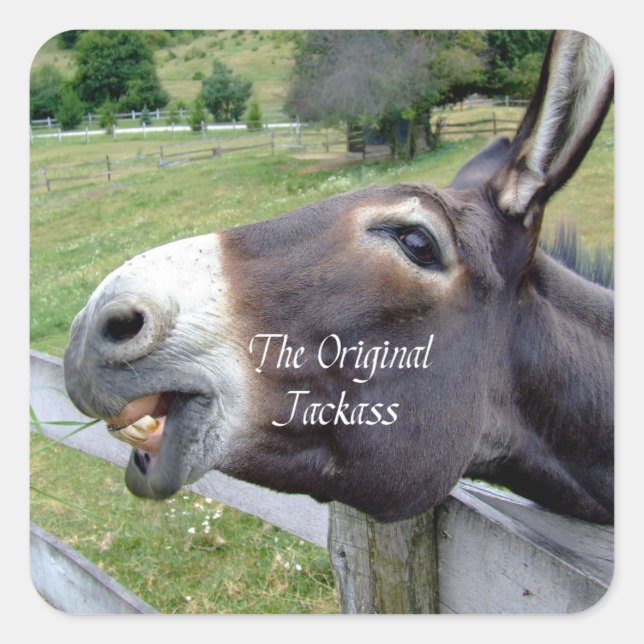 The Original Jackass Funny Donkey Mule Farm Animal Square Sticker (Front)