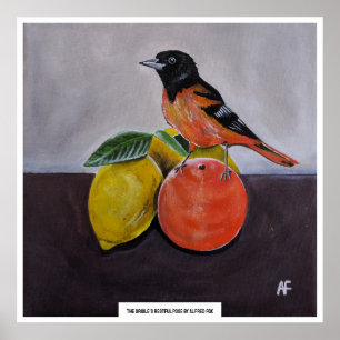 The Oriole's Restful Pose Painting by Alfred Fox Poster