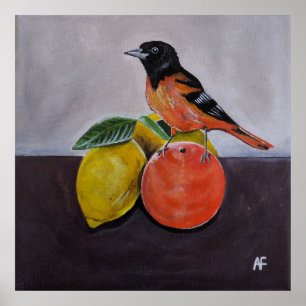The Oriole's Restful Pose Painting by Alfred Fox Poster