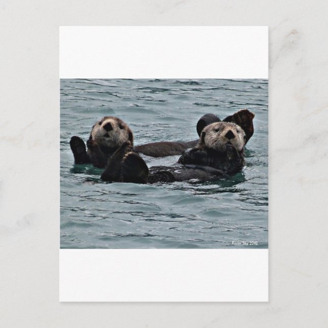 The otter Couple Postcard (Front)