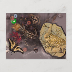 the owl and the butterfly postcard