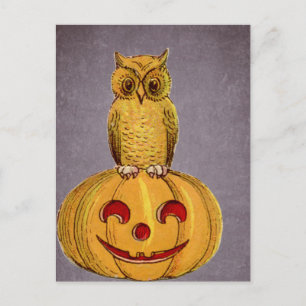The Owl and the Jack O Lantern Postcard
