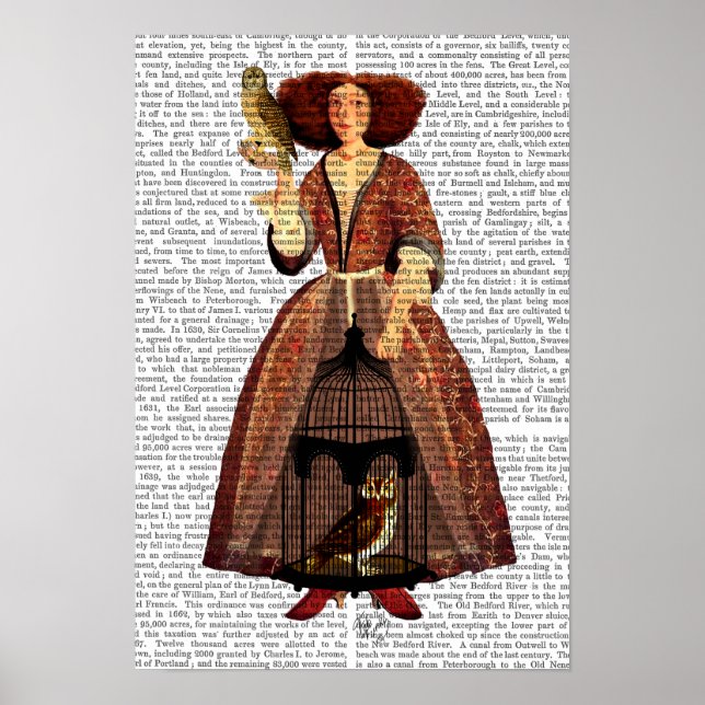 The Owl Lady Poster (Front)