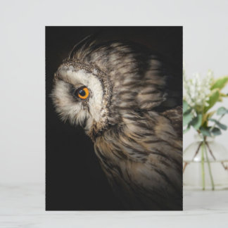The Owl Mystical Eye | Owl Lovers Gift