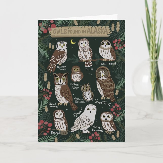 The Owls found in Alaska Greeting Card (Front)