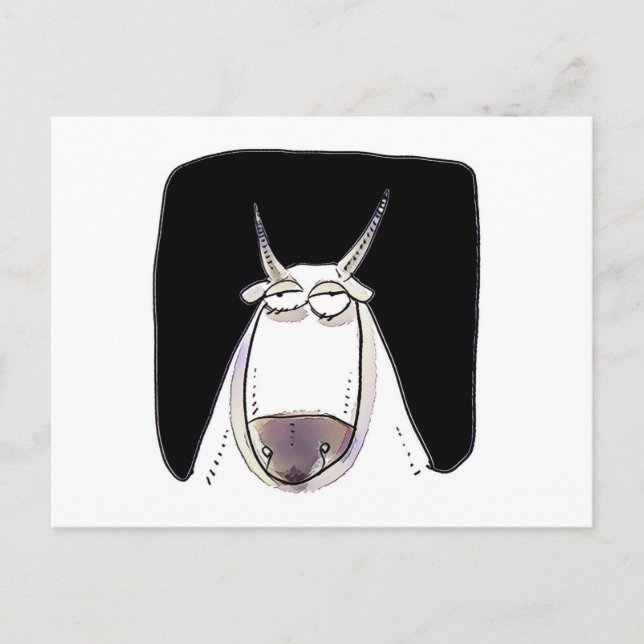 the ox is looking expressionless funny cartoon postcard (Front)