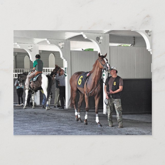 The Paddock at Belmont Park Postcard (Front)
