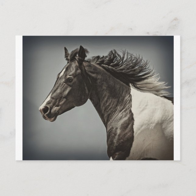 The Paint Postcard (Front)