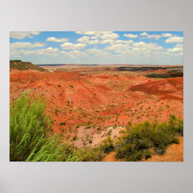The Painted Desert Poster (Front)