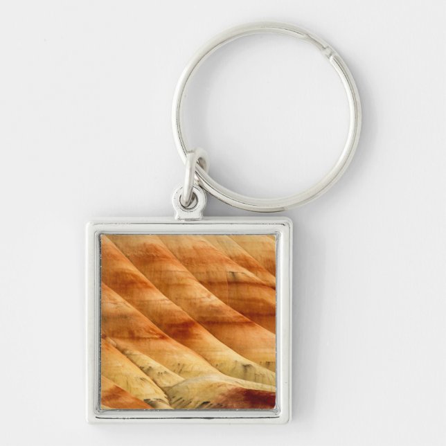 The Painted Hills In The John Day Fossil Beds 2 Key Ring (Front)