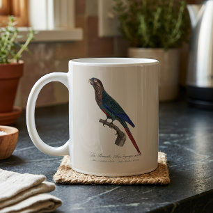 The Painted Parakeet, Pyrrhura Picta Coffee Mug