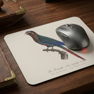 The Painted Parakeet, Pyrrhura Picta Mouse Pad