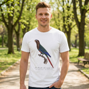 The Painted Parakeet, Pyrrhura Picta T-Shirt