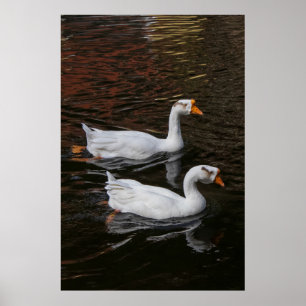 The Pair Poster