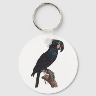 The Palm Cockatoo, Probosciger aterrimus Parrot Key Ring