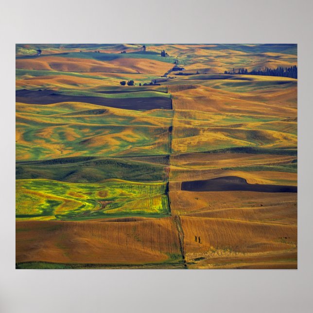 The Palouse from Steptoe Butte, Colfax, Poster (Front)