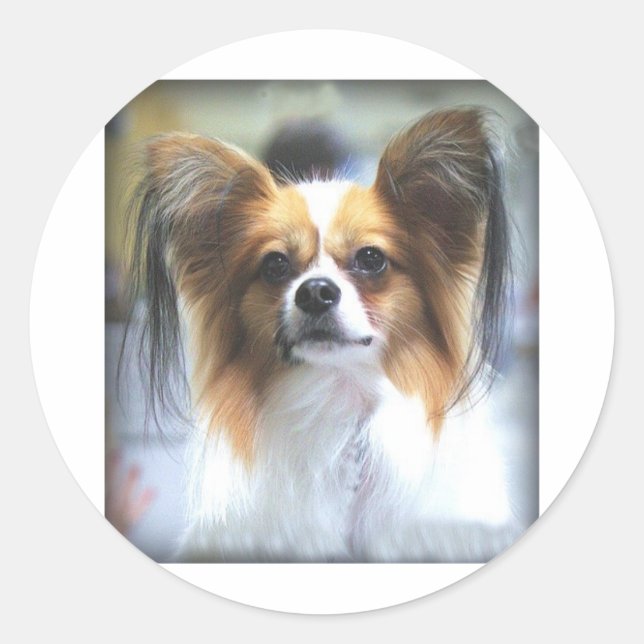 The PAPILLON Classic Round Sticker (Front)