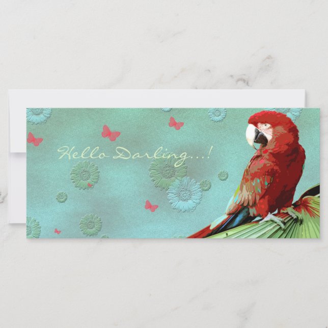 THE PARROT ~ Greeting Card / Postcard (Front)