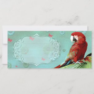 THE PARROT ~ Greeting Card / Postcard