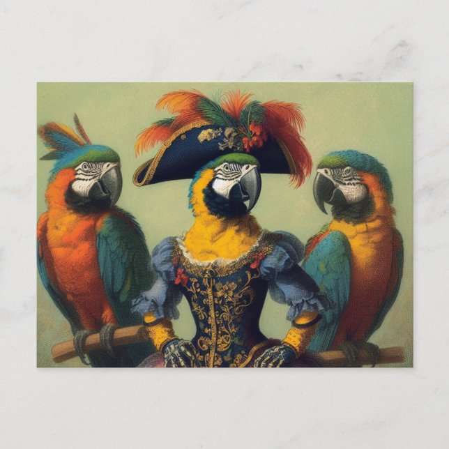 The Parrot Pirate Postcard (Front)
