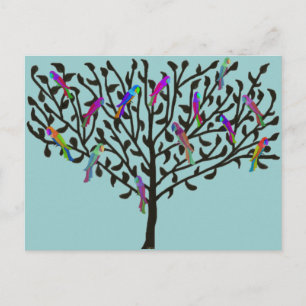The Parrot Tree postcard