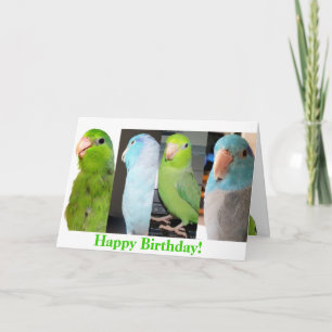 The Parrotlets Happy Birthday Bird Greeting Card