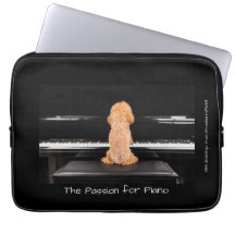 The Passion for Piano