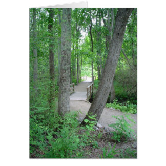 The Path Rarely Travelled