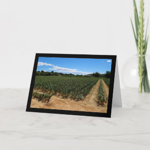 The Path Through the Onion Field Card