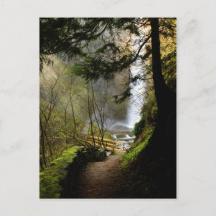 The Path to Latourell Falls Postcard