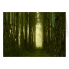 The Path to My Heart