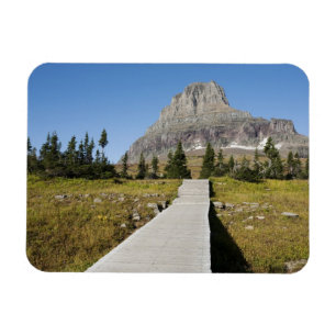 The pathway to the view of Hidden Lake Magnet