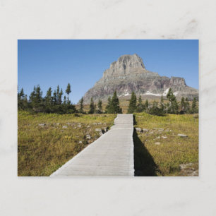 The pathway to the view of Hidden Lake Postcard