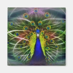 The Peacock Dreamcatcher Magnet