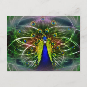The Peacock Dreamcatcher Postcard