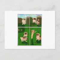 The Pekingese